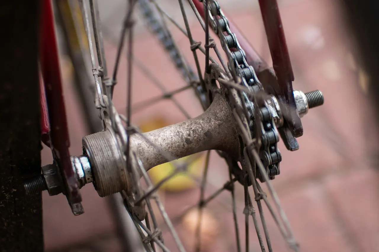 Rear wheel hub with spokes laced to it and a single-speed sprocket and chain